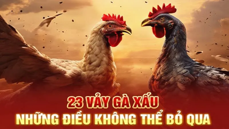 Cách nhận biết các loại vảy gà tốt – vảy xấu cho người mới