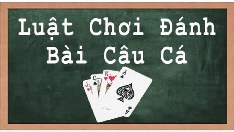 Chi tiết về cách chơi bài câu cá cho người mới tham gia