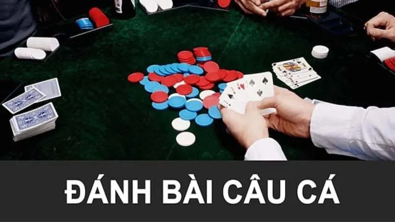 Một số quy tắc quan trọng trong cách chơi bài câu cá